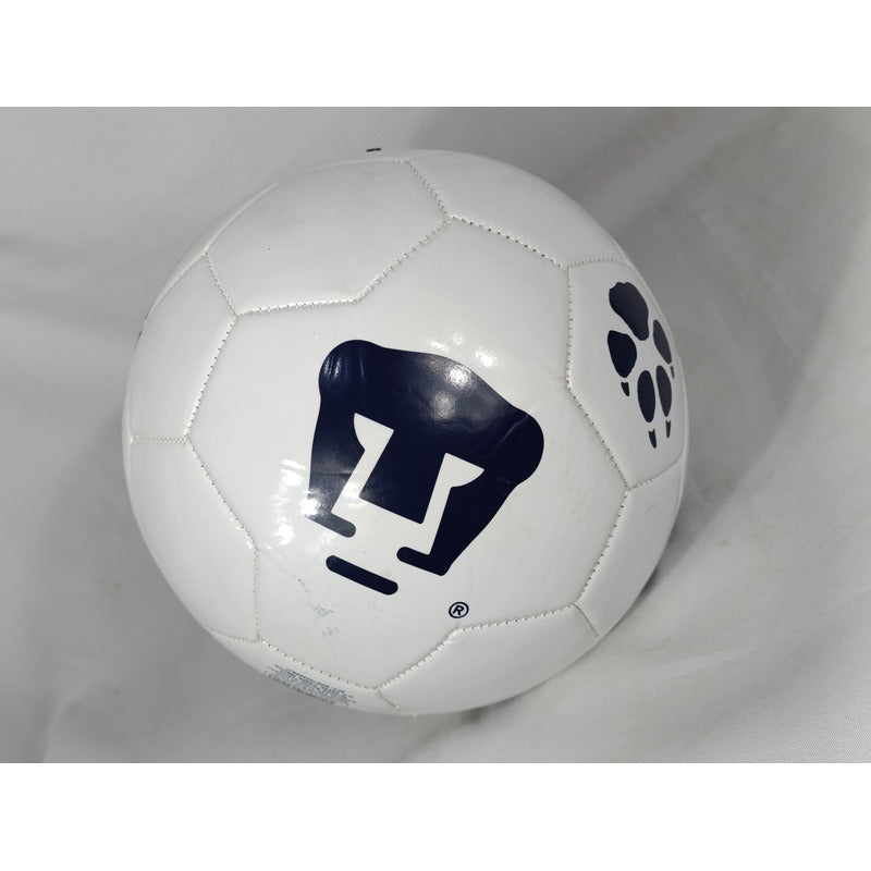 1/2 Puma